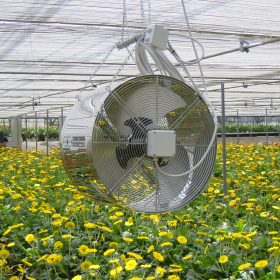راهنمای خرید خنک کننده و تهویه برای گلخان